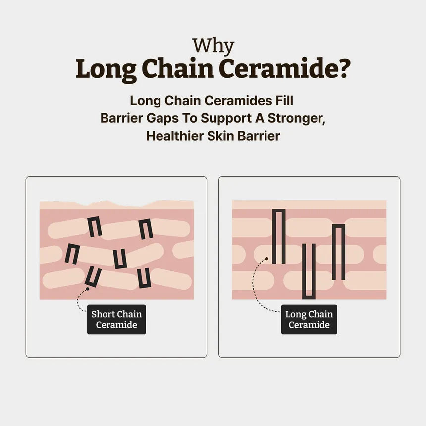 DR REJUALL Ceramide Barrier Cream | 90ml