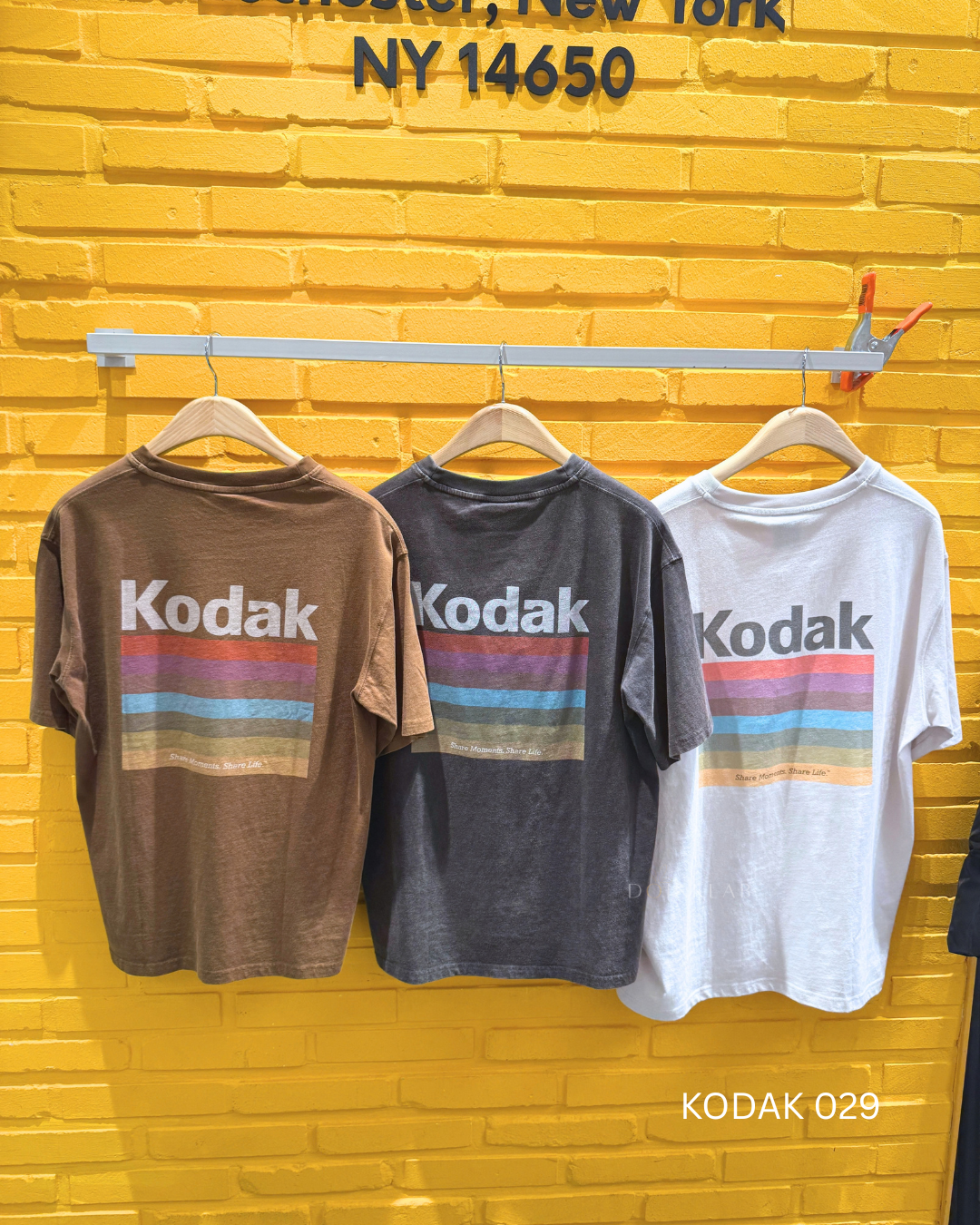 KODAK 029
