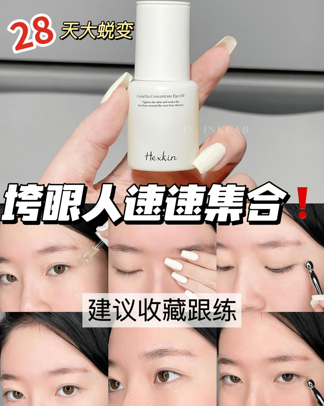 HEXKIN Camellia Concentrated Essence Eye Oil 15ml