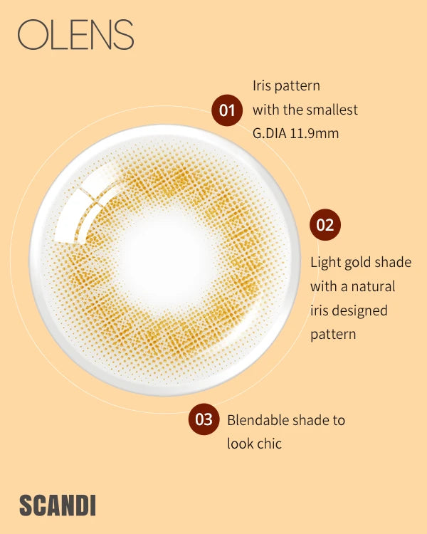 [Daily] OLENS Scandi Contact Lens - Olive (10p)
