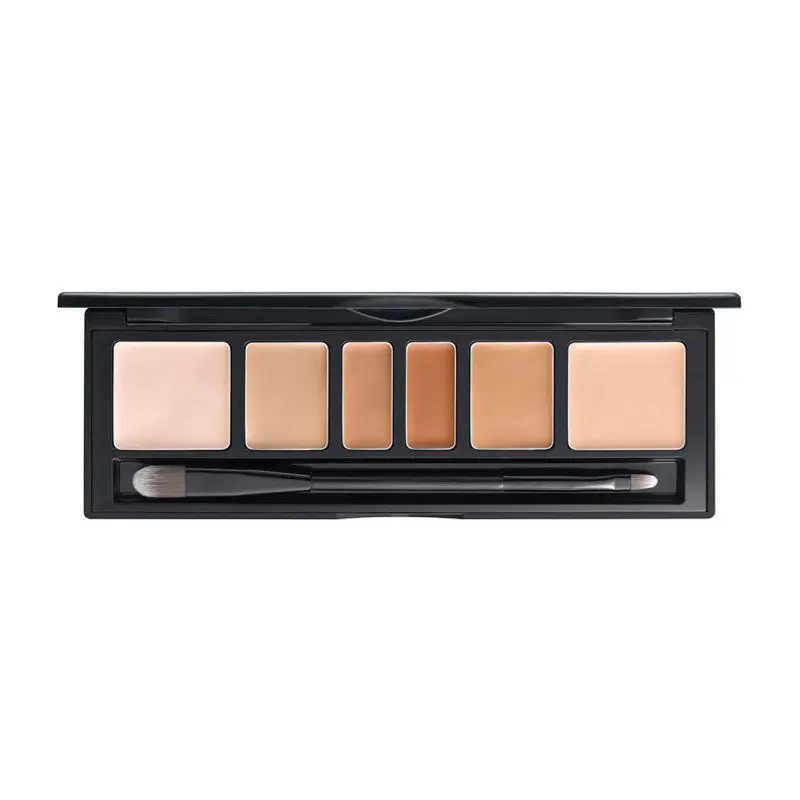 JUNG SAEM MOOL Artist Concealer Palette 6.6 g